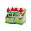 Sucette Felko Watermelon  POP 24 x 17g